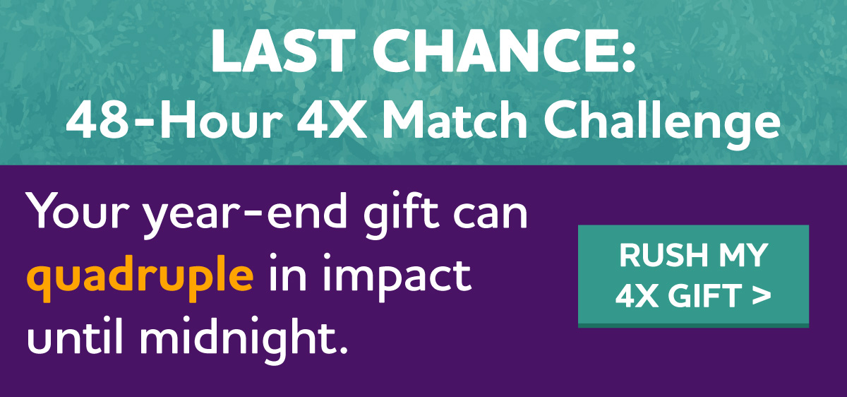 LAST CHANCE: 4X Match Challenge