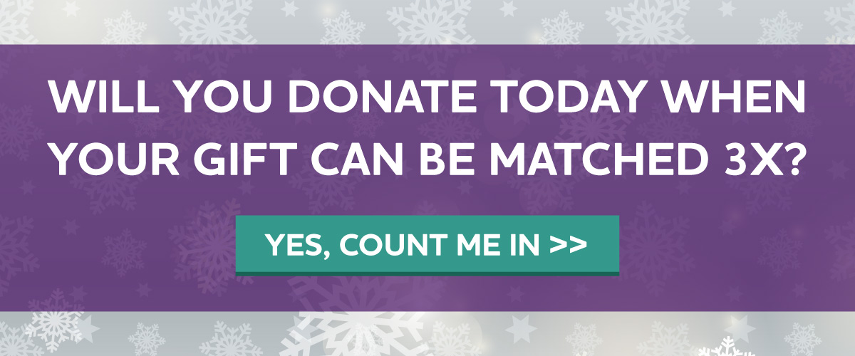 Holiday 3X Match Challenge - Three more days to make 3X the difference.
